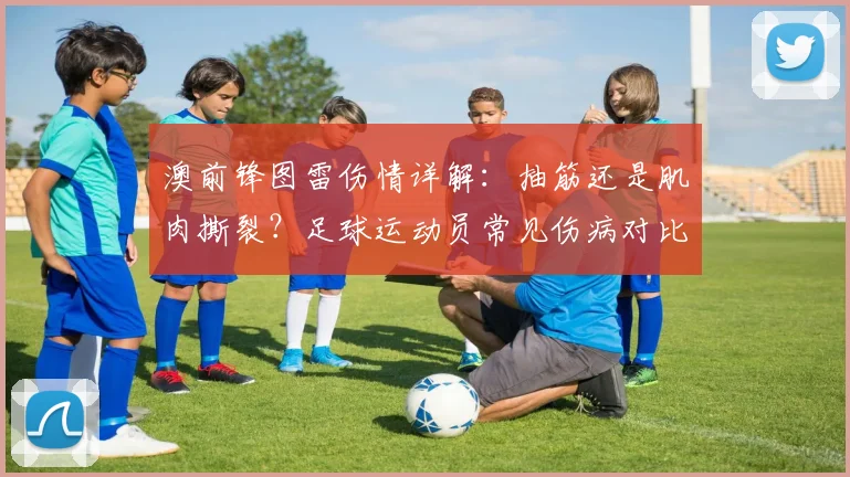 澳前锋图雷伤情详解:抽筋还是肌肉撕裂?足球运动员常见伤病对比与2026赛季影响分析