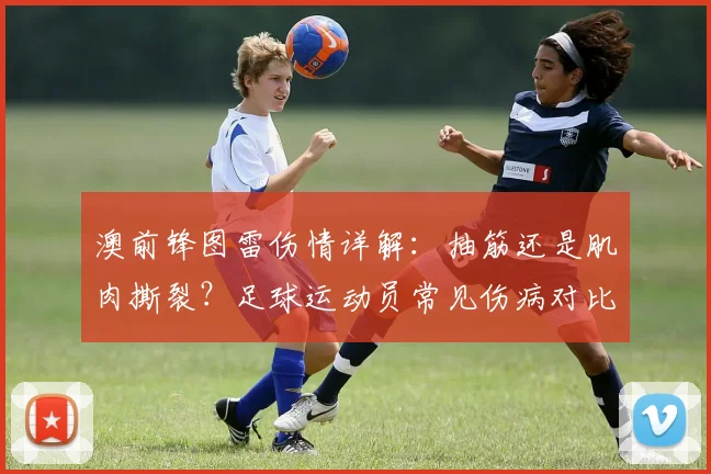 澳前锋图雷伤情详解：抽筋还是肌肉撕裂？足球运动员常见伤病对比与2026赛季影响分析